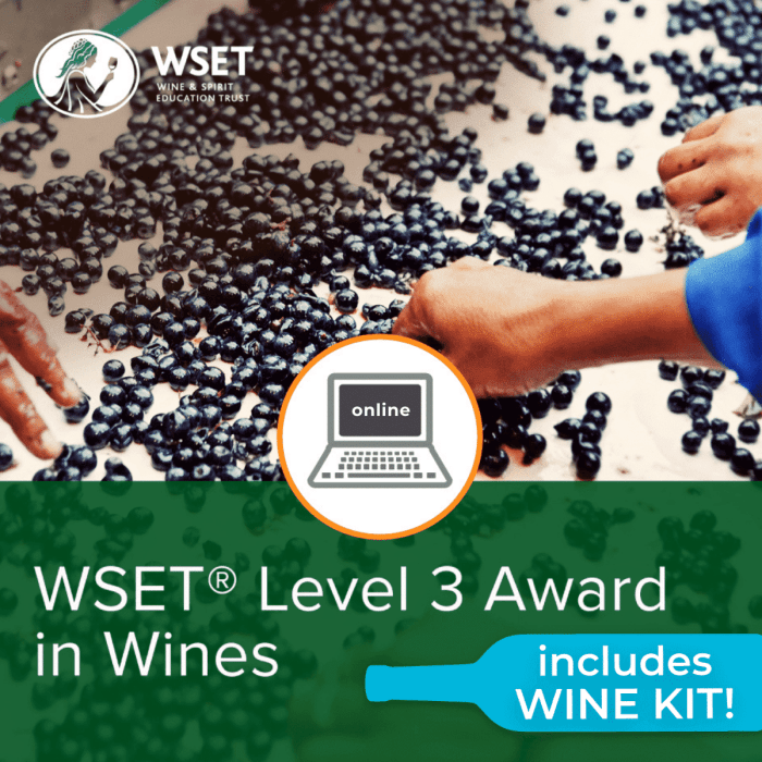 Wset practice test level 3